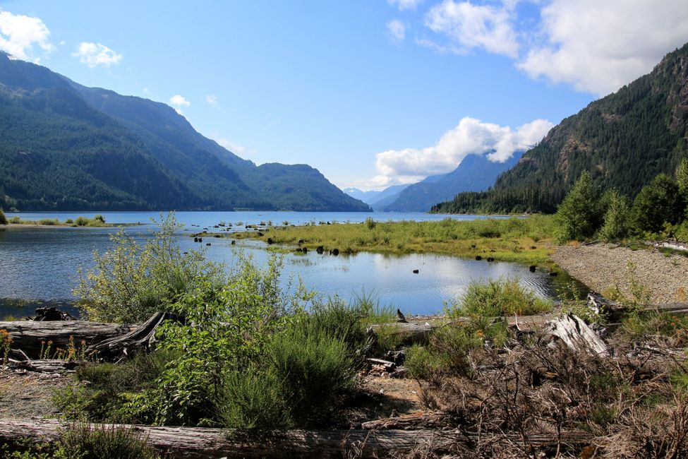 Buttle Lake Beach Trail