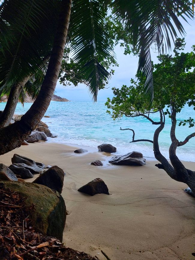 Seychellen - Tag 5: Insel Mahe Norden