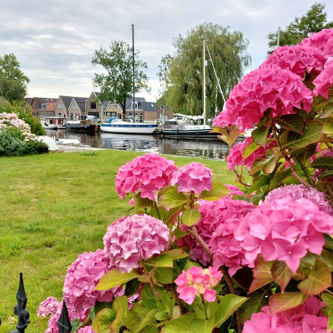 Lemmer au IJsselmeer