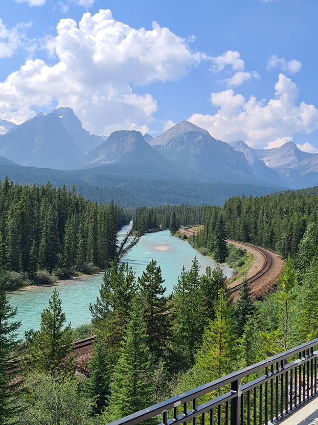 Bow River an der Morant's Curve