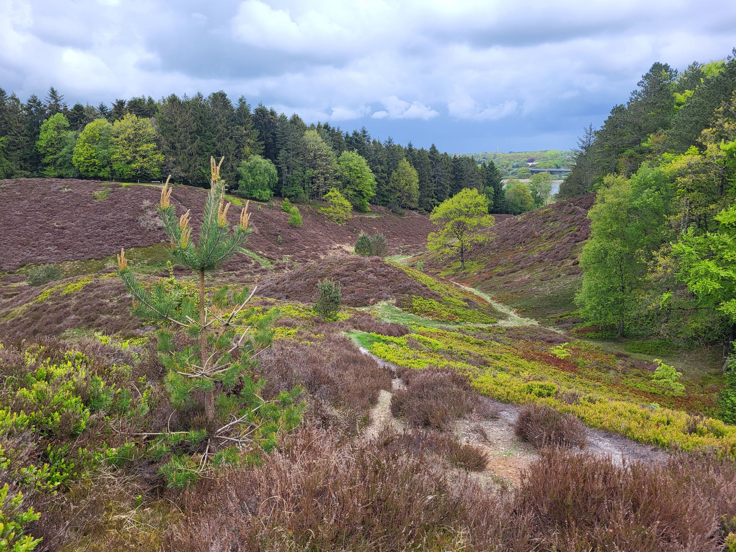 Hike on Mors