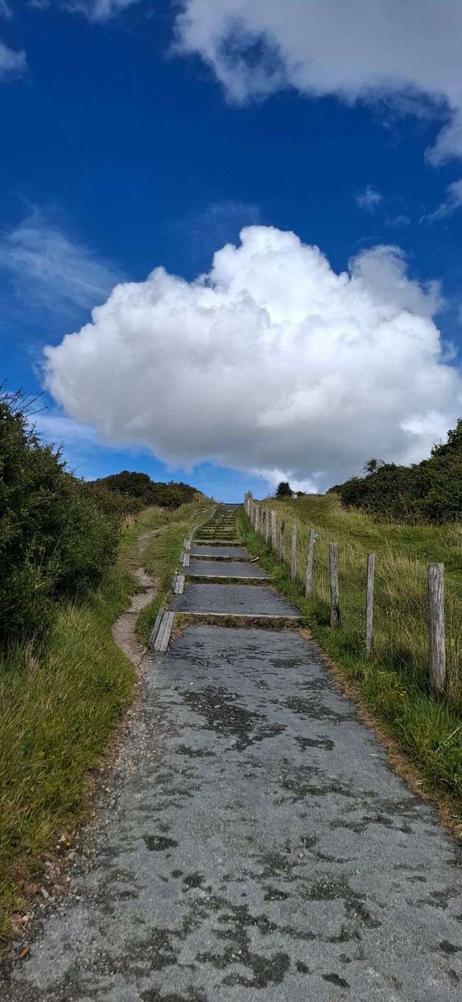 Tag 15 - Londra -> Dover