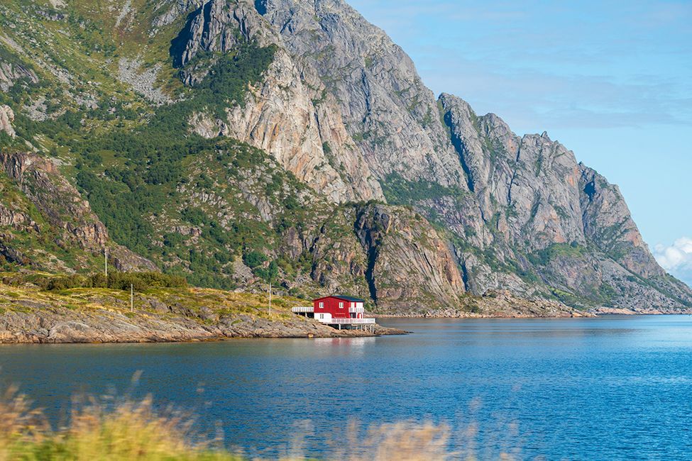 Einmal Lofoten und zurück
