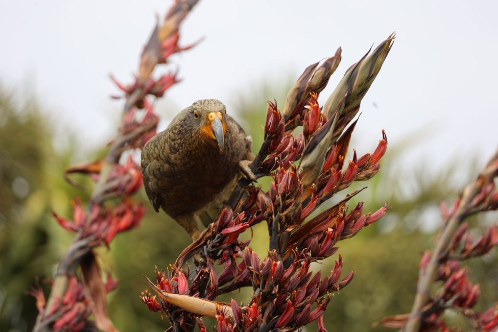 An der West Coast weiter Richtung Süden