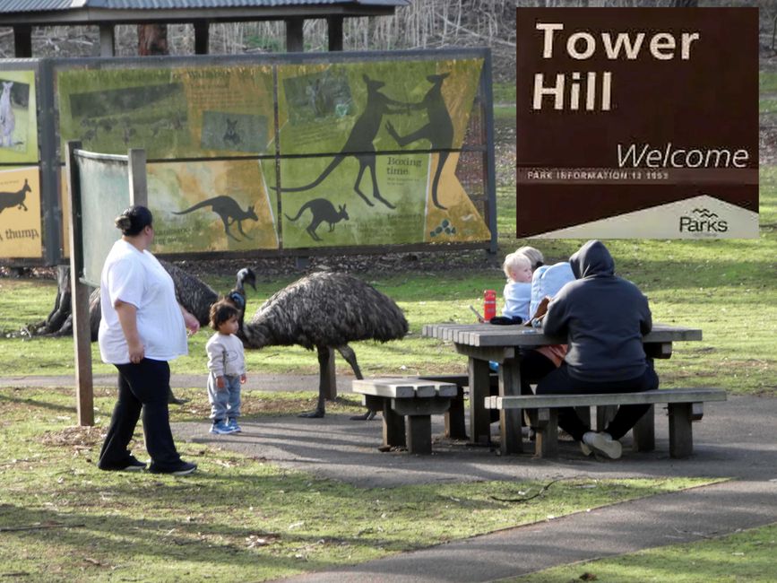 Tower Hill Wildlife Reserve