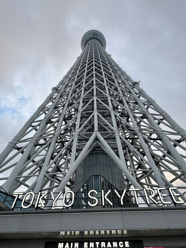 Parte 7
BENVENUTO IN GIAPPONE 🇯🇵
TOKYO