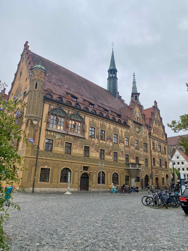 From Heidelberg to Ulm