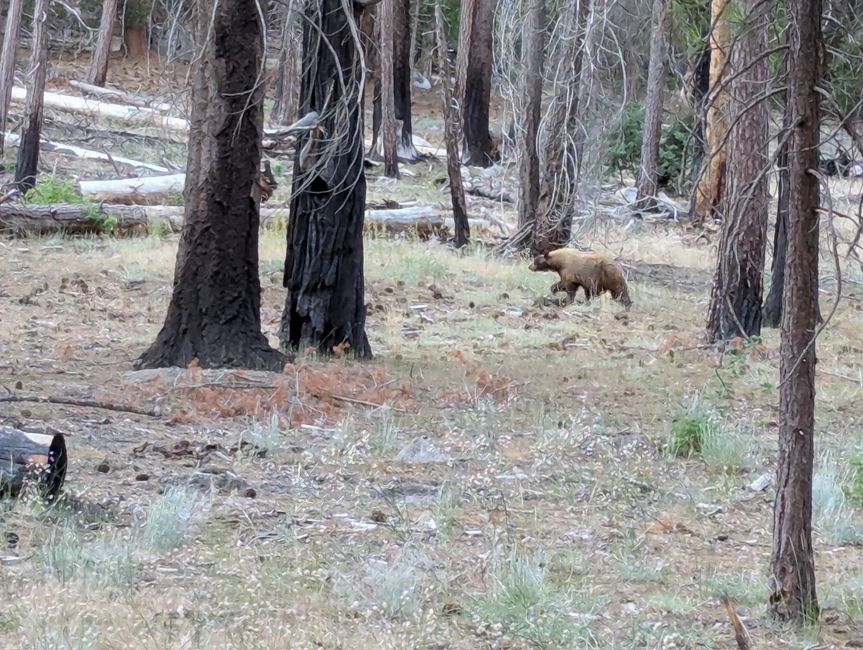 Yosemite