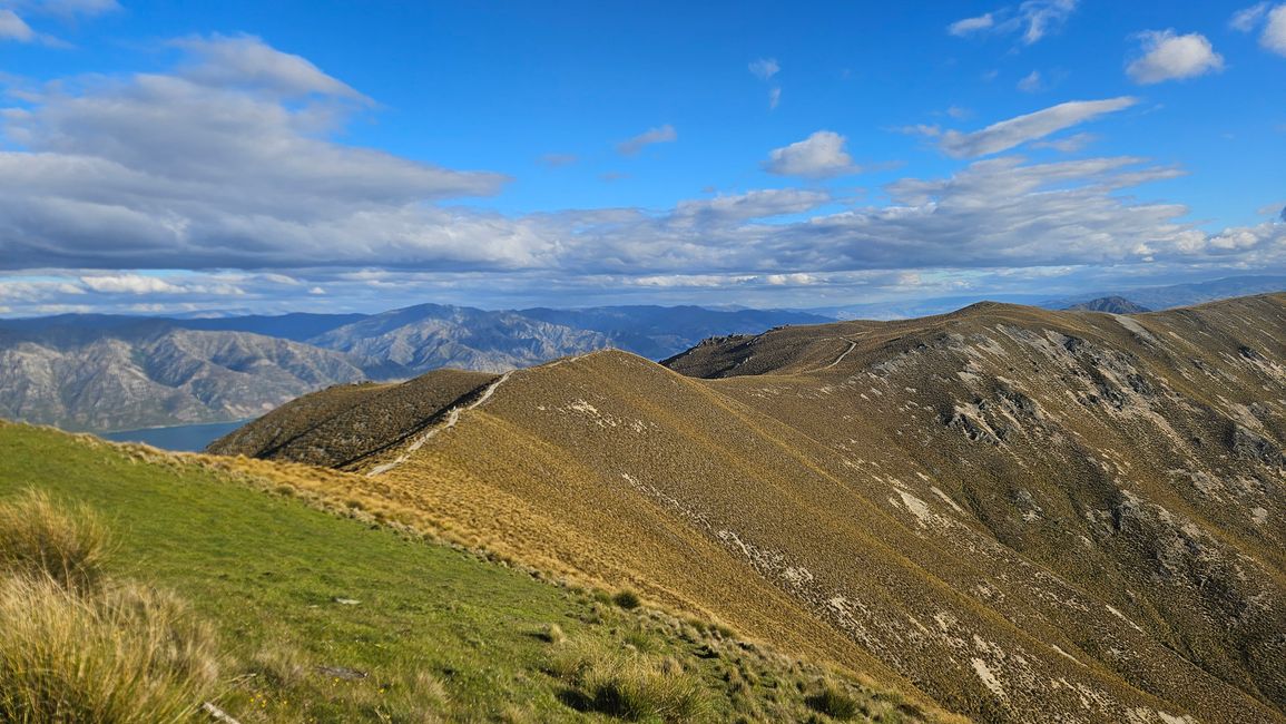 Haast Pass - Isthmus Peak - Wānaka