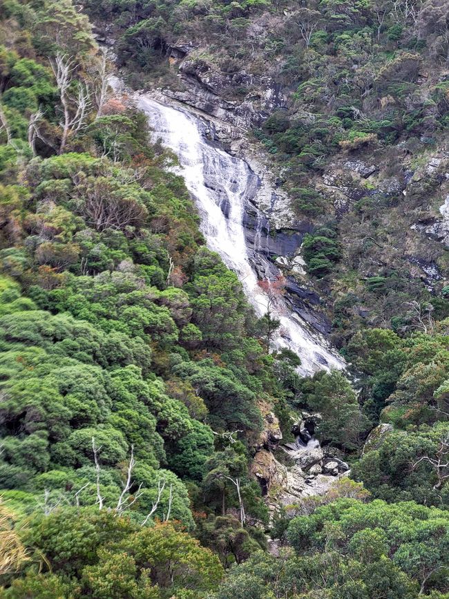 Cascate di Carisbrook