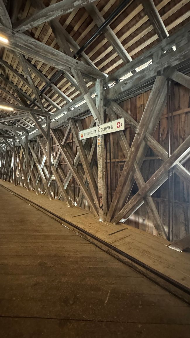Bodensee umrundet mit Fahrrad 🚲 - ohne Elektro- in Etappen