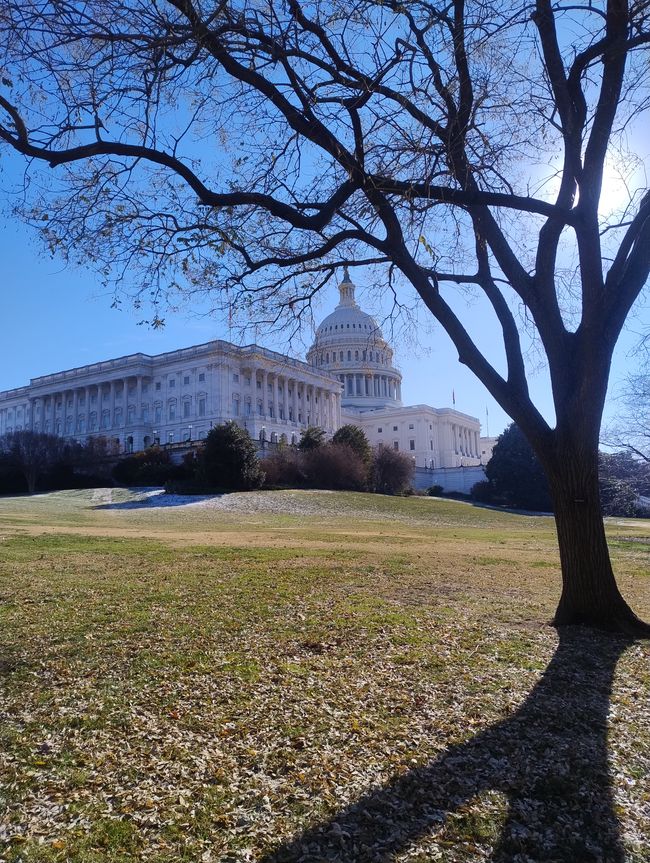 Capitol 