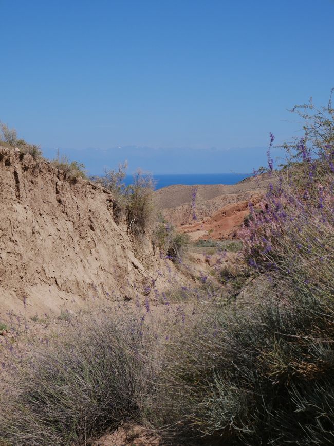 Il Lago Issyk Kul: Una piccola pausa al grande lago