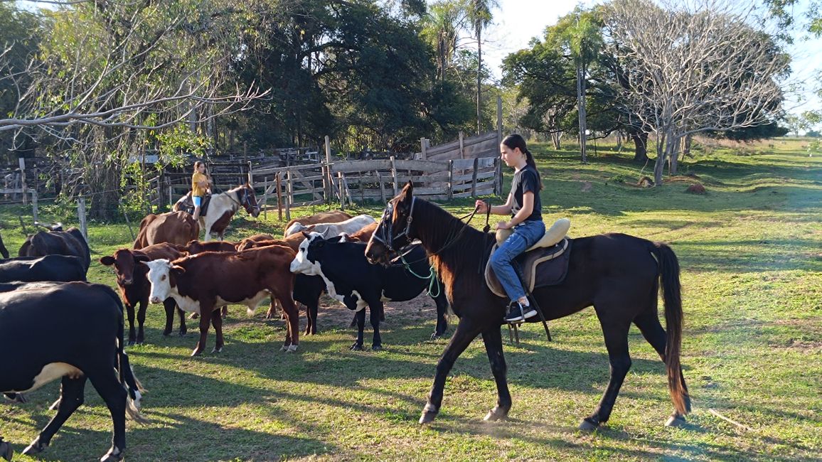 Paraguay_Caacupe_Aventura_Ranch (Juli 2025)