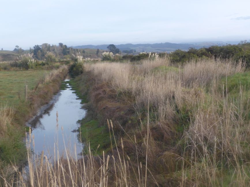 2025-04-15 Dargaville