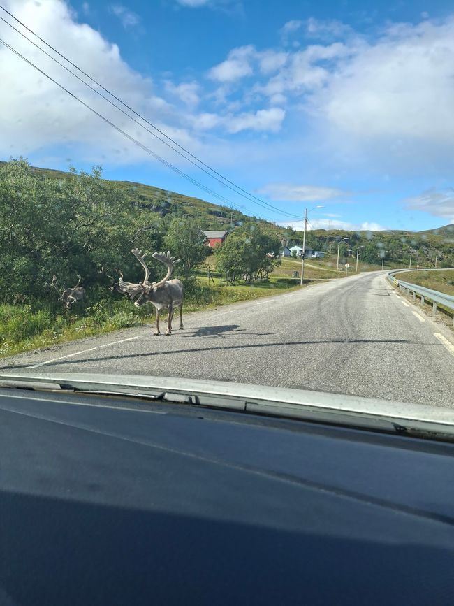 Tag 3: Alta - Nordkapp