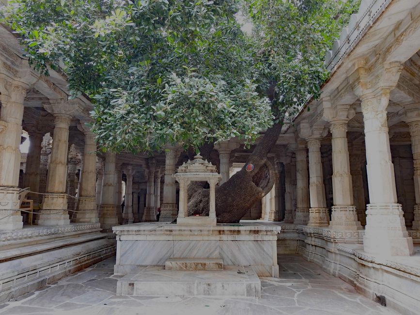 Adinath - Temple / Heiliger Baum