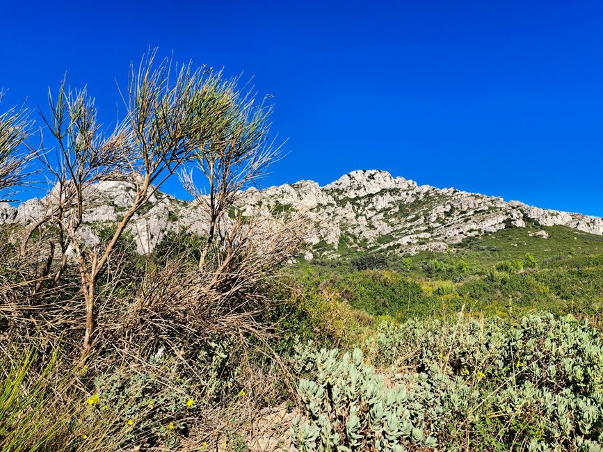 Los Aromas de las Alpilles