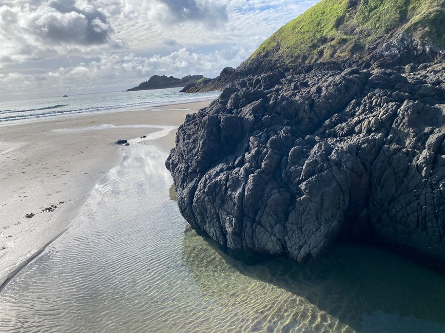 De whangarei à auckland