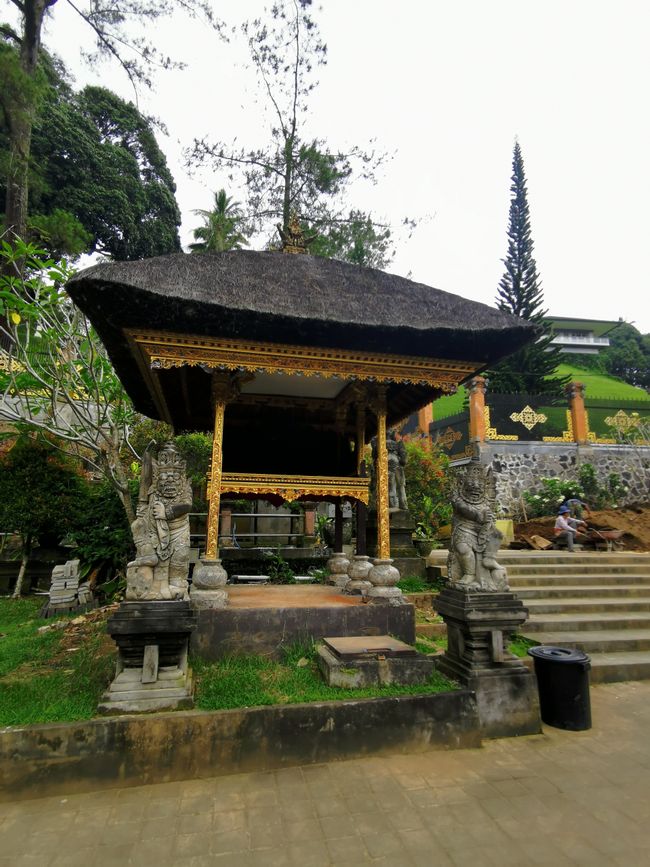 Excursión de un día a Ubud y Tegallalang
