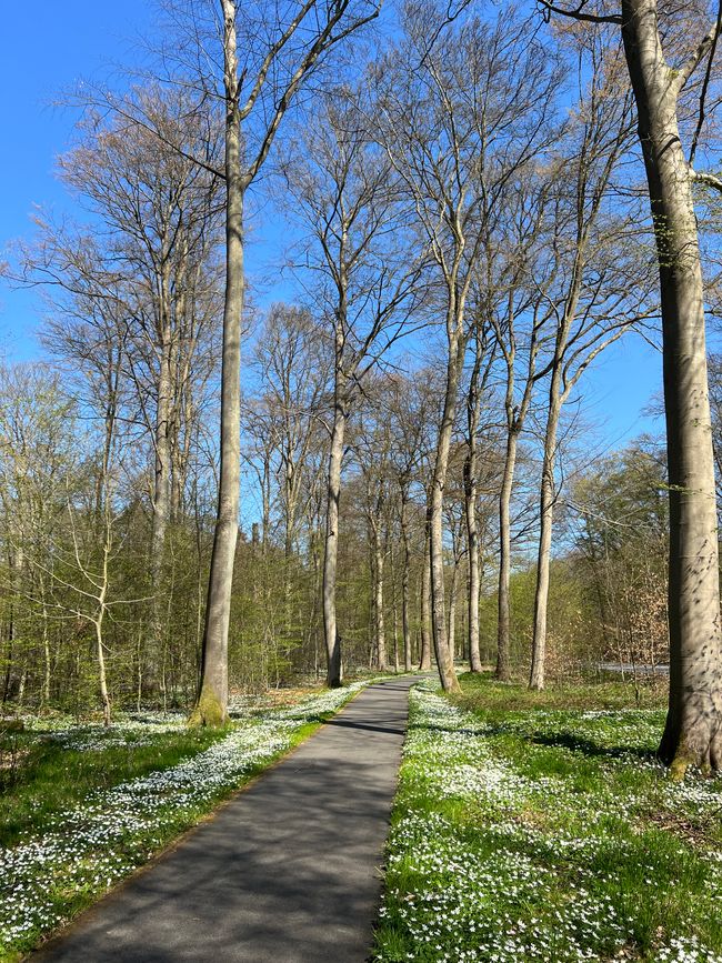 10 hacia Lübeck