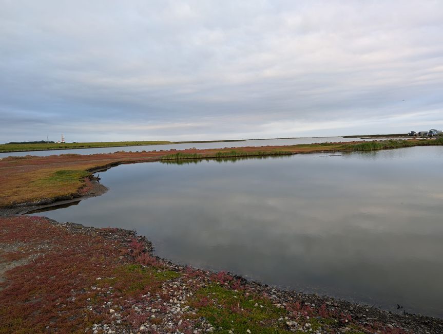 Fehmarn ● The morning hour has gold in its mouth