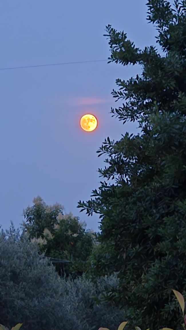 夜晚的比萨