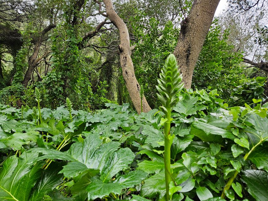 Bella natura lungo il cammino
