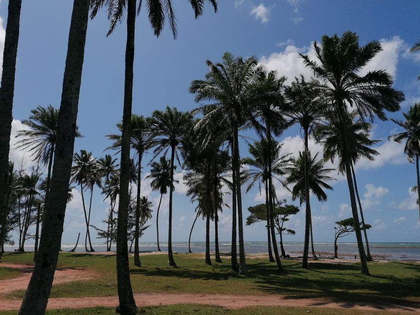 Brasil, Praia Garcez