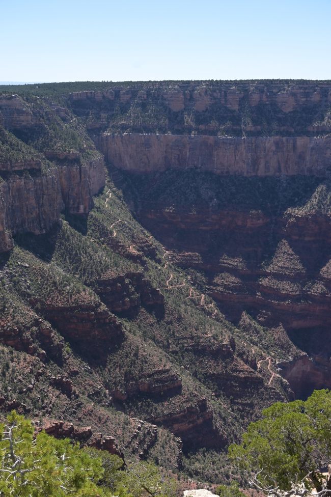 Vista dal South Rim sul Bright Angel Trail