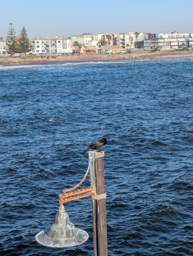 Swakopmund al Molo