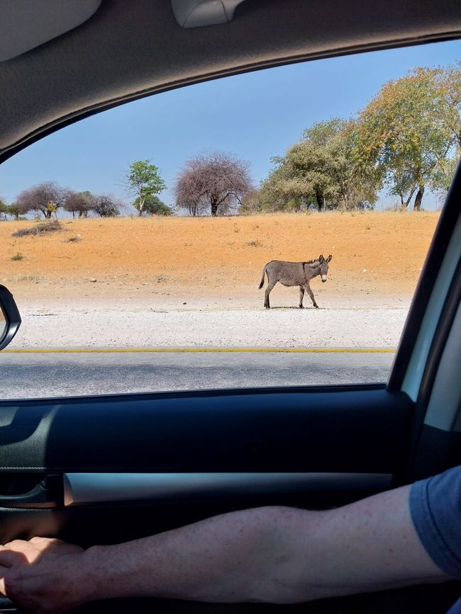 Namibia Police Station oder der Weg ist das Ziel