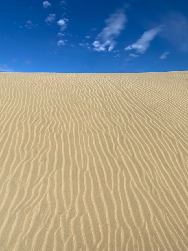 At the End of the World