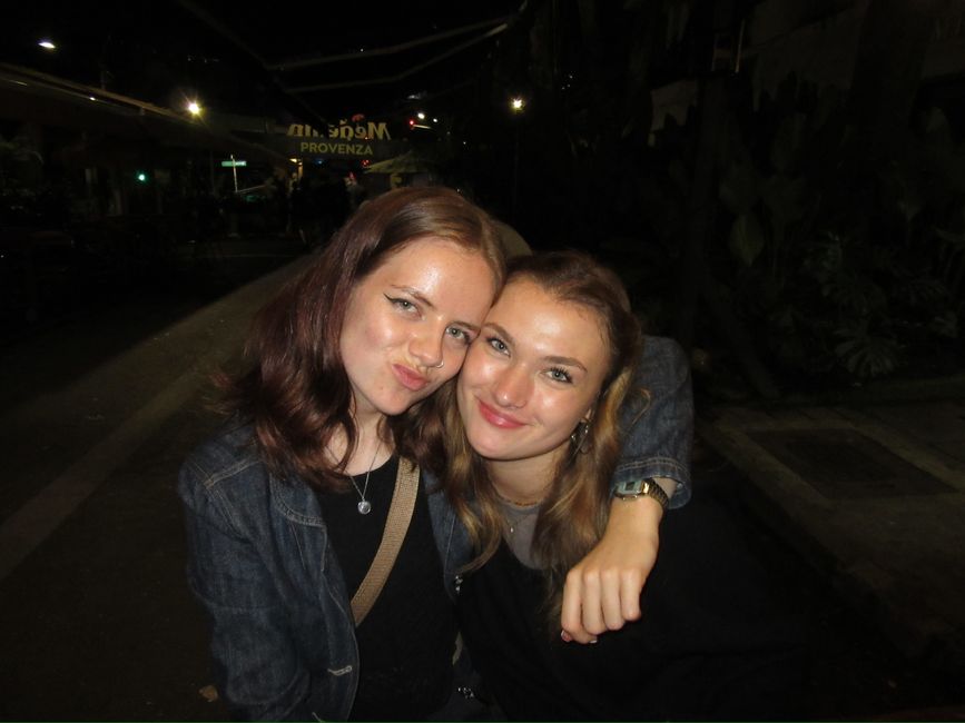 Medellín- die Stadt, in der alles erblüht?