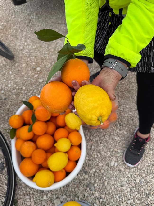 Domenica, partenza