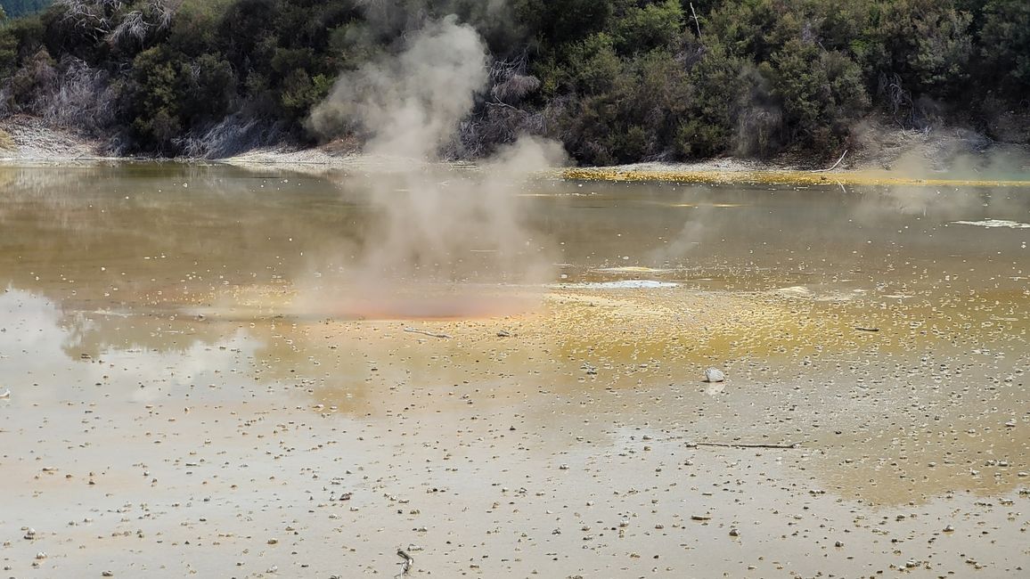 In Wai-O-Tapu National Park and at Lady Knox