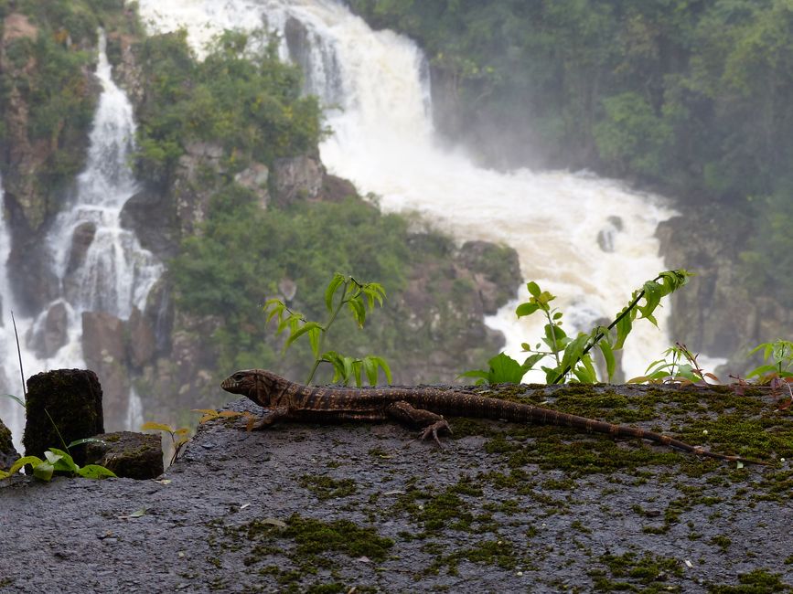 Brasilien, Iguacu Wasserfälle