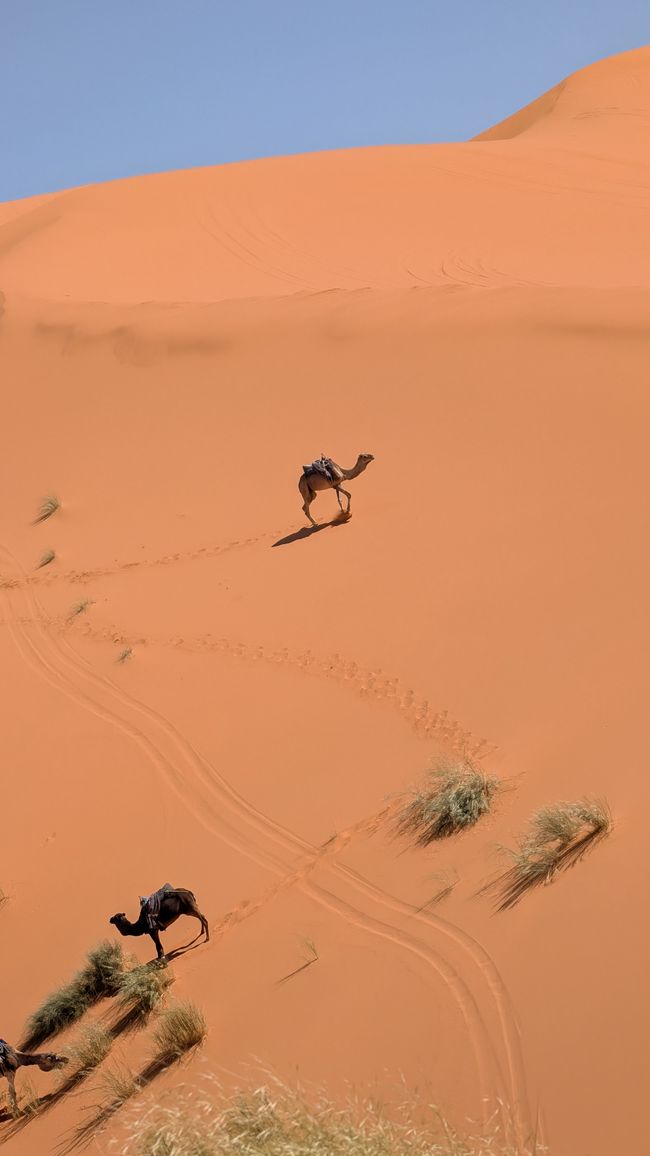 Tag 6: Merzouga / Hassilabied - Abenteuer in der Wüste