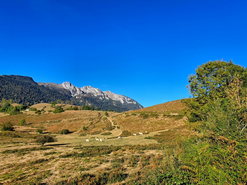 Verso il Col de Marie blanche 