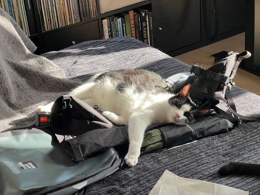 Auf Auf, DĂ€nemark wartet