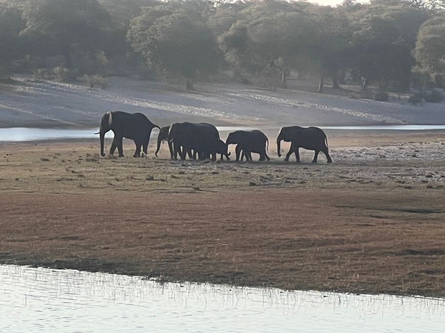 Botswana und die Elefanten