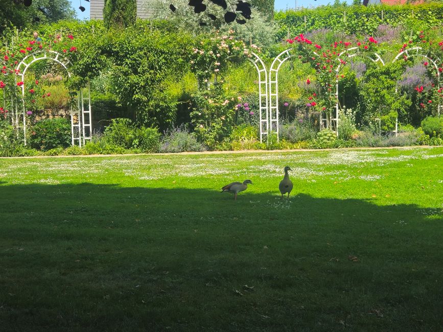 Ludwigsburg ● Blühender Barock Garten
