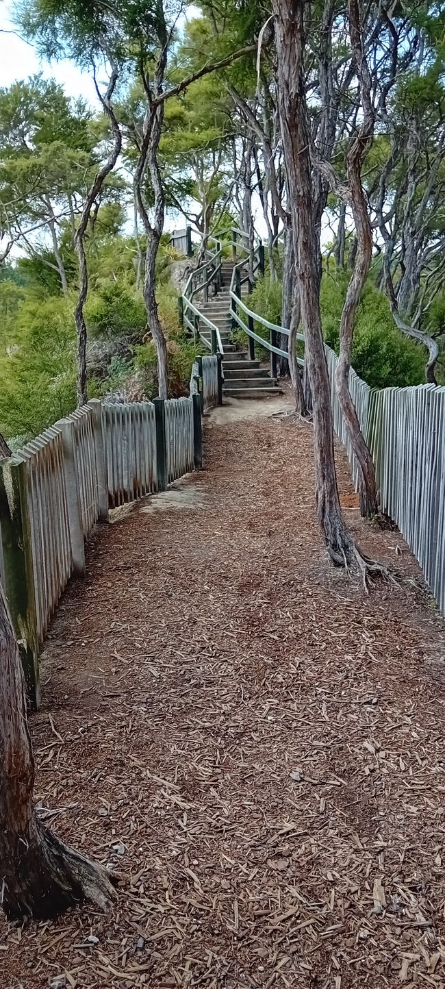 Wai-O-Tapu / Rotorua