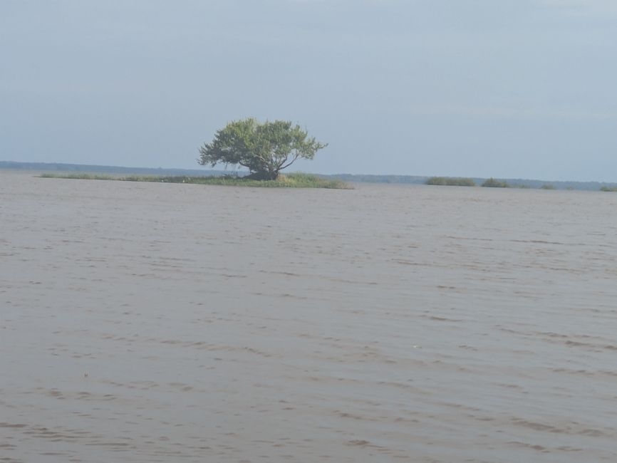 Alter- wo der Amazonas nur 32km breit ist