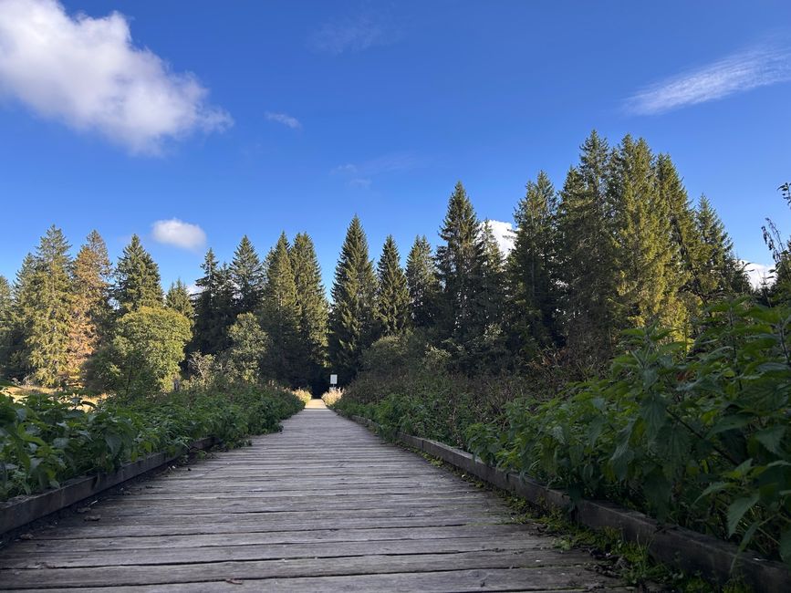 Und nun zum Etang de la Gruères