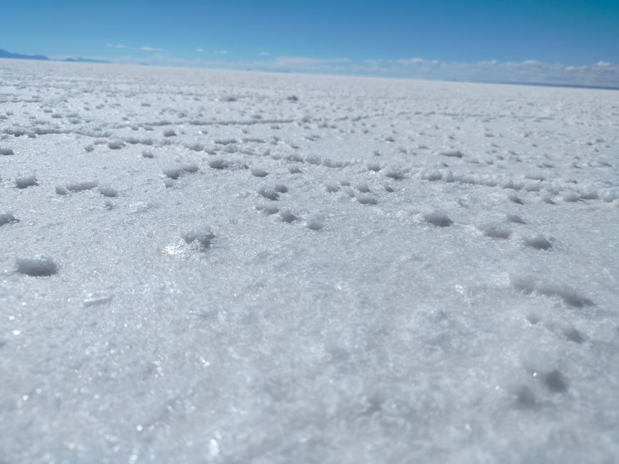 Uyuni - Excursion dans le désert de sel