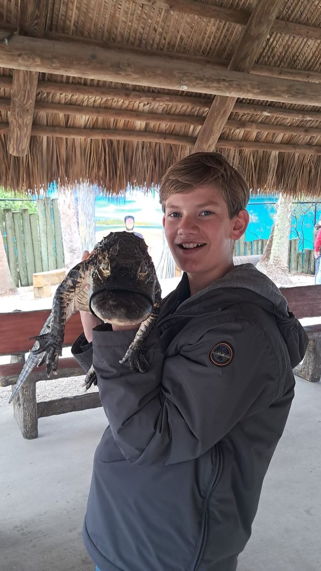 Tag 13: Everglades mit dem Airboat und dem Sunflower Boat