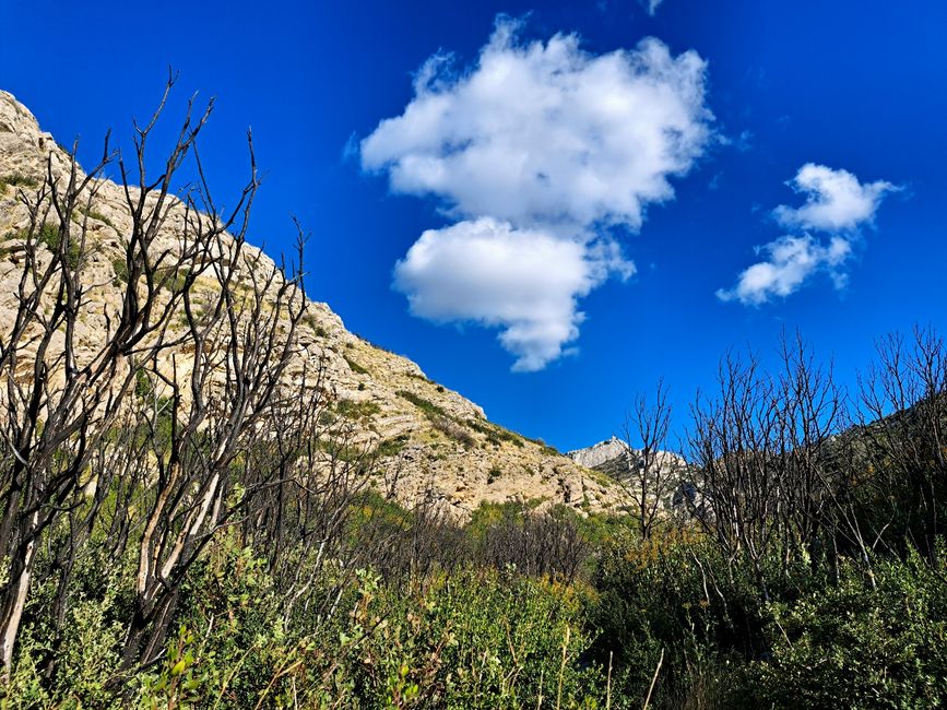 The Flavors of the Alpilles