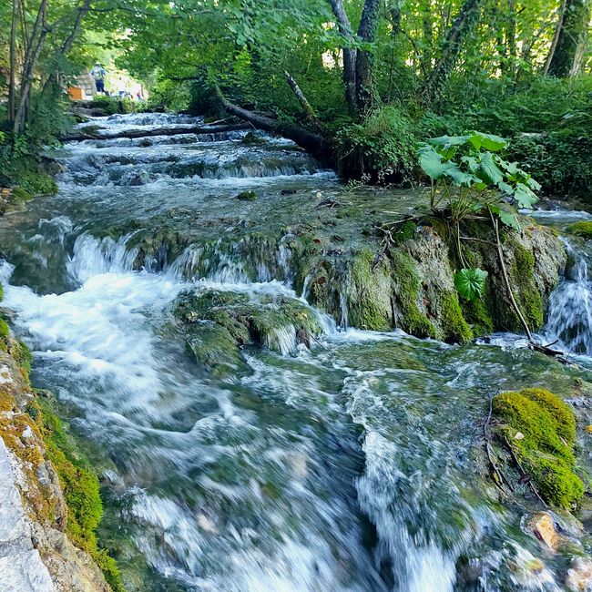 Plitvice Lakes National Park