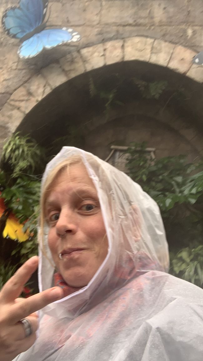 Tag 6 - Hoi An : Un Licorne Endormi et une Aventure dans le Brouillard